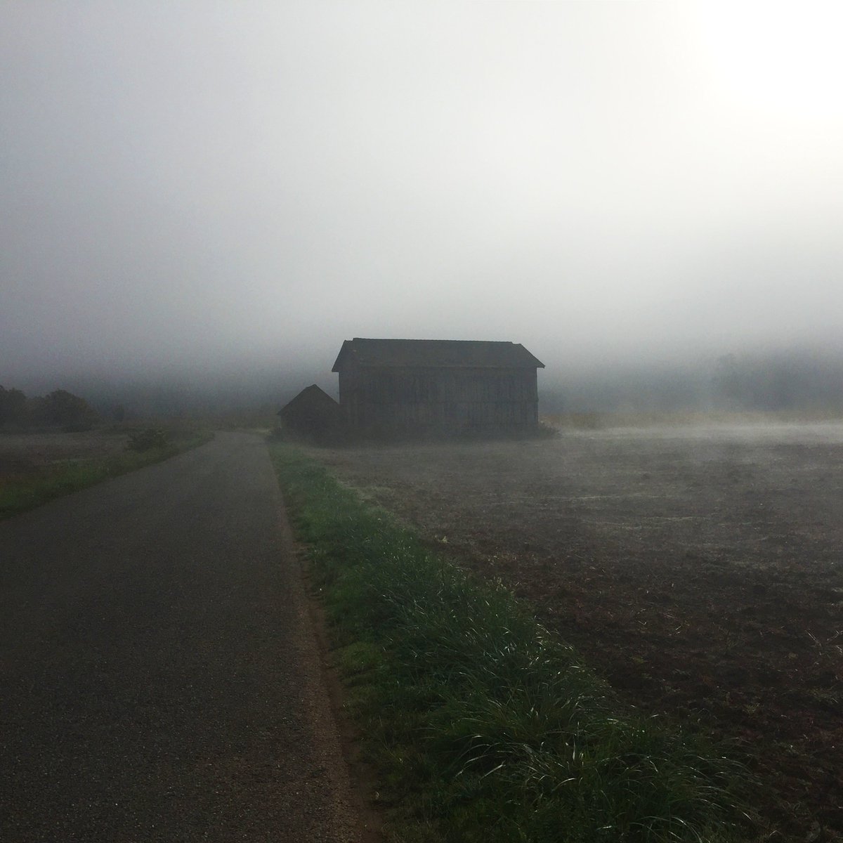 I used to think of this song like a prayer. Maybe that’s why I kept it simple, just 5 voices, singing together in one big space.
Today I'm releasing a new version, reimagined by DJ Avsha. Feels so good to witness one of my songs get a new life!

youtu.be/KXRqzAX5tGA