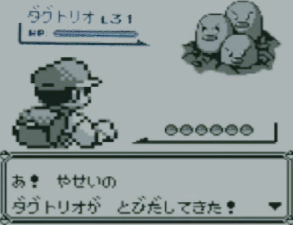 ダグトリオ ট ইট র অন সন ধ ন ট ইট র