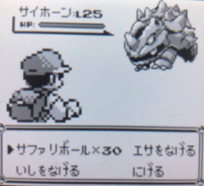 ダグトリオ ট ইট র অন সন ধ ন ট ইট র