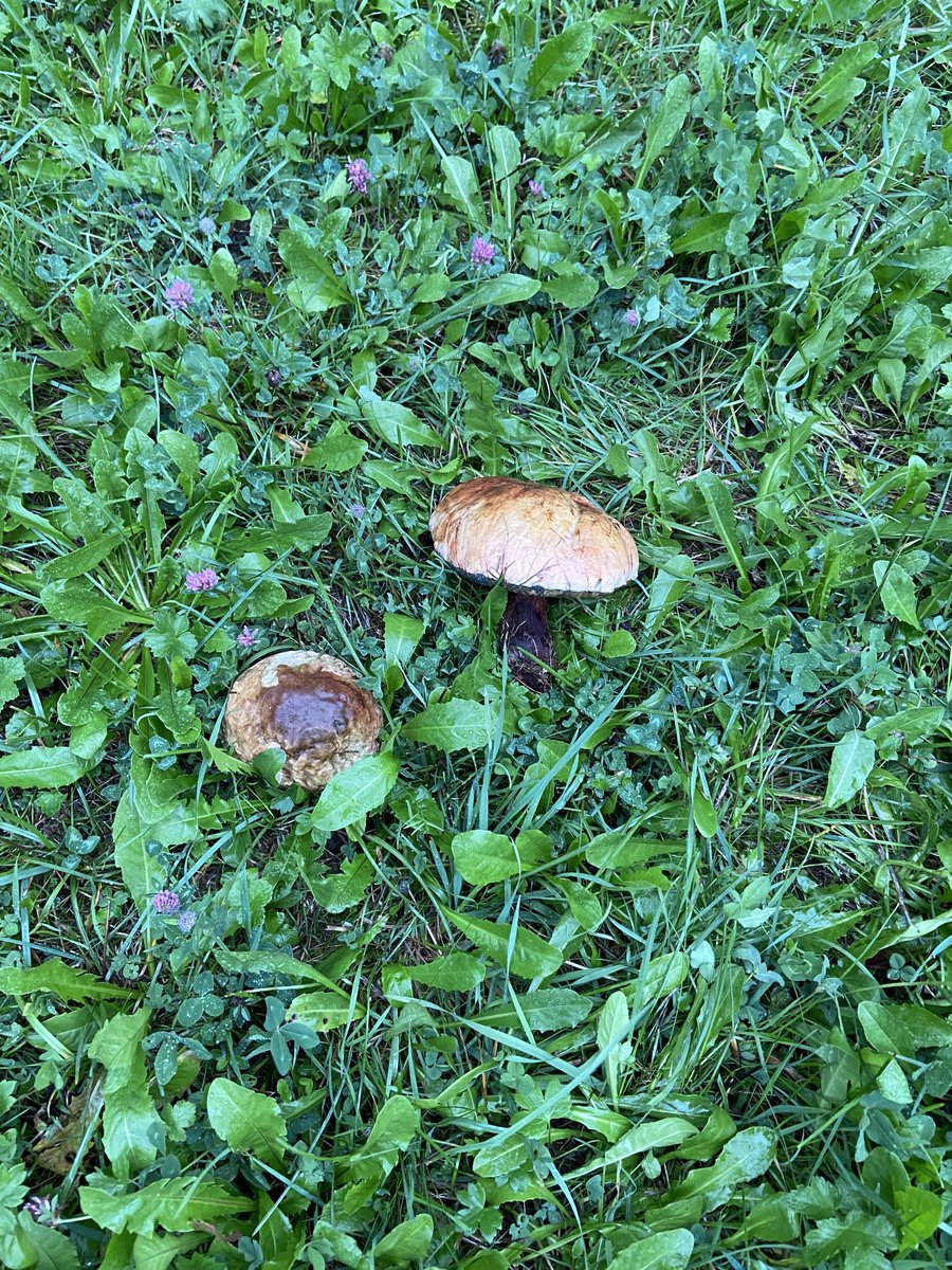 ⁦<a href="/mjsiggen/">Marie-Jo Siggen</a>⁩