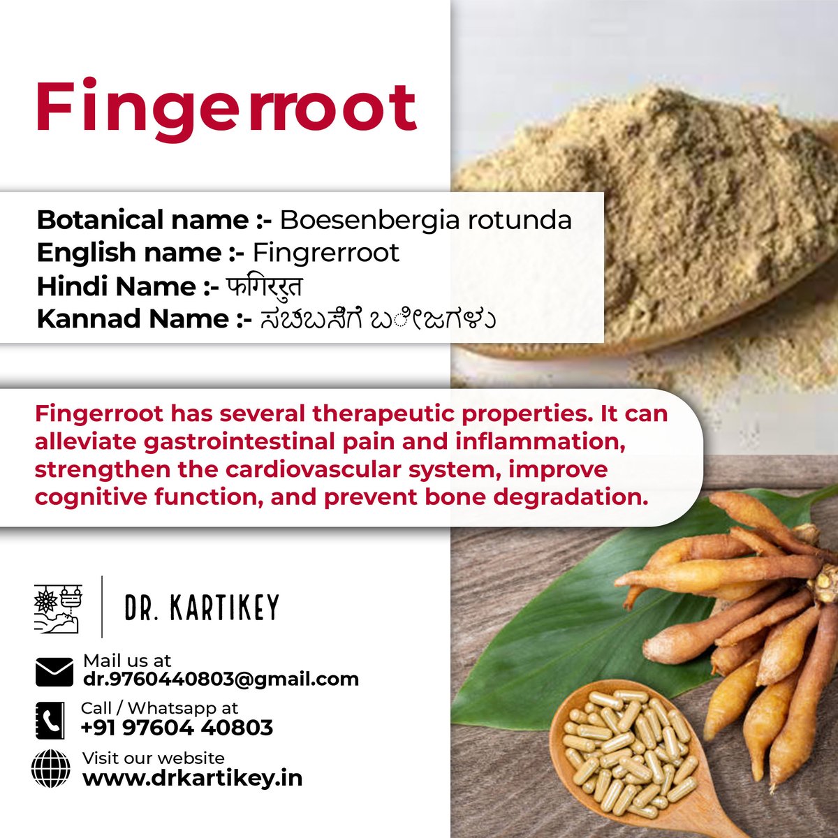 drkartikey's tweet photo. Fingerroot has several therapeutic properties. It can alleviate gastrointestinal pain and inflammation, strengthen the cardiovascular system, improve cognitive function, and prevent bone degradation.
#drkartikeytyagi #fingerroot #indigestion #benefits #haridwar #dehradun #food https://t.co/hGahVmRWSt