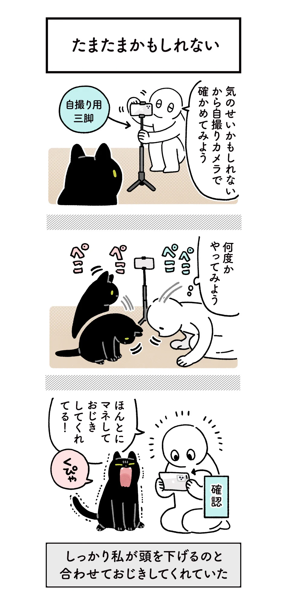 可愛すぎる！お辞儀をしたら一緒に頭を下げて、頭を撫でたら撫で返してくれた愛猫のお話を描いた猫漫画！