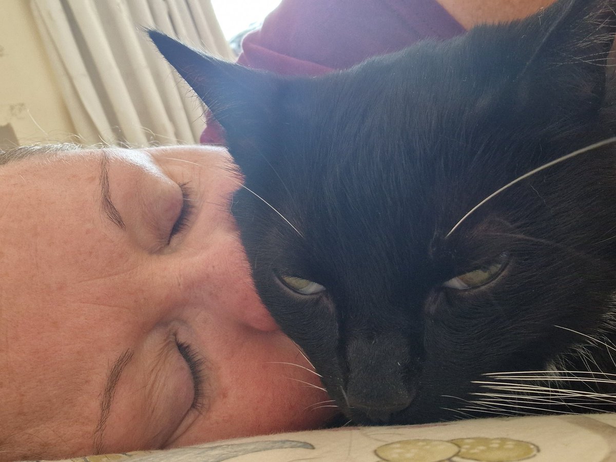 Kilts4me's tweet photo. Ma's has a sore paw and is feeling a little under the weather, so Im helping by blocking her airways.
#DoctorZ
~Z https://t.co/OdSakCK9RV