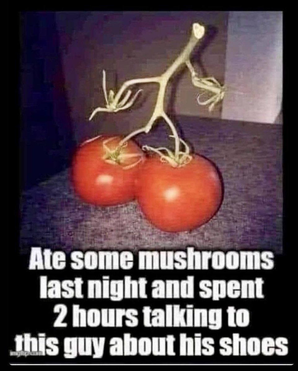 Nut-Meg 🎨 tweet media