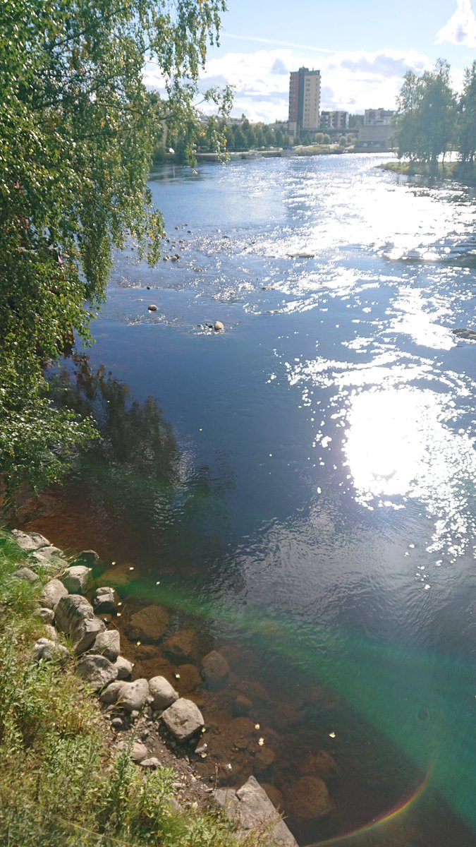 AkkanenJarkko's tweet photo. #Pielisjoki #Joensuu, kimmeltäviä Itä- ja Länsikoskien elinympäristöjä kunnostetaan #järvilohi #taimen #harjus #koskikunnostus https://t.co/B8vtBLJuXy