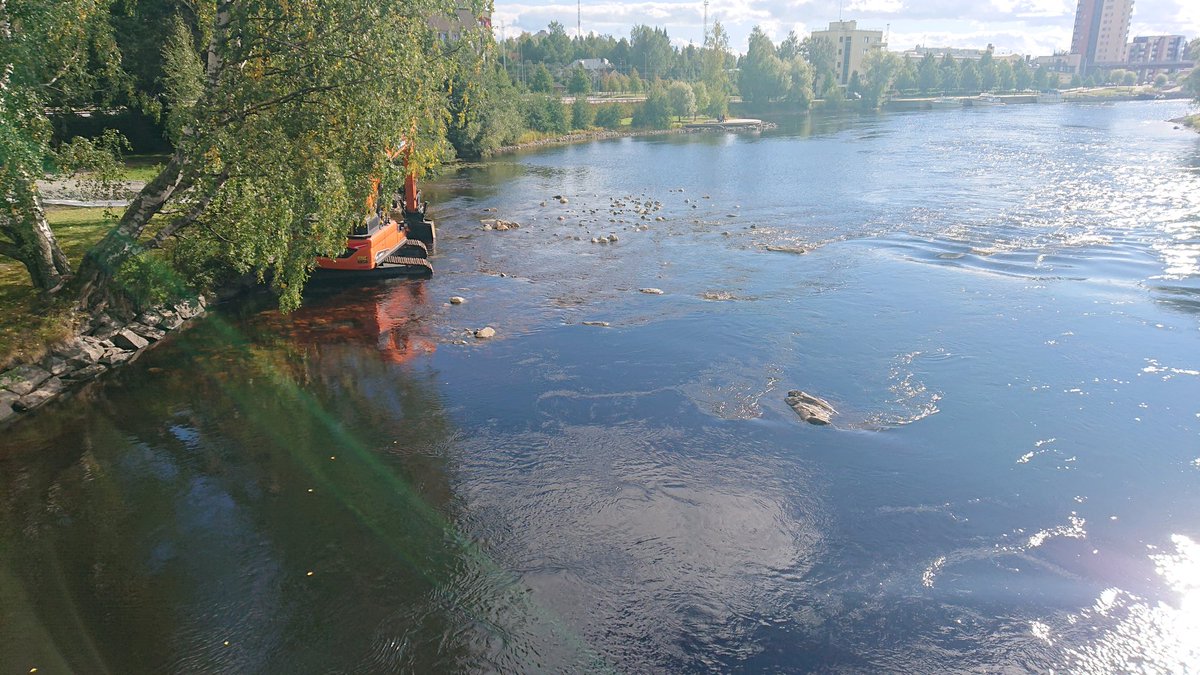 AkkanenJarkko's tweet photo. #Pielisjoki #Joensuu, kimmeltäviä Itä- ja Länsikoskien elinympäristöjä kunnostetaan #järvilohi #taimen #harjus #koskikunnostus https://t.co/B8vtBLJuXy