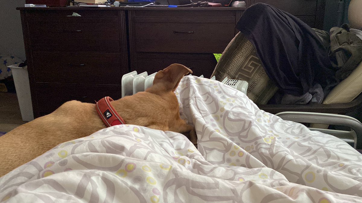 Весь сегодняшний день в одном фото