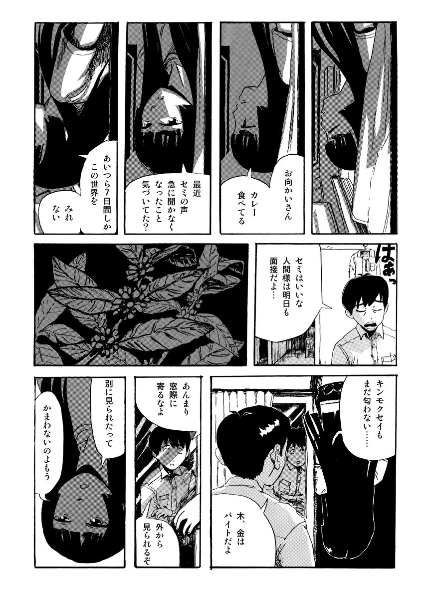 ひみつを抱えた妹と鈍感な兄2/4 