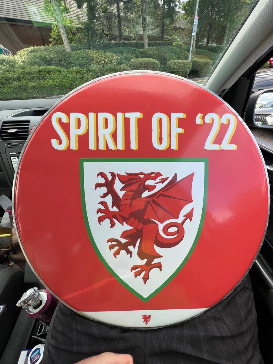People_Poet's tweet photo. What’s got 8 thumbs and are filming a music video tomorrow? @FAWales #Wales #spiritof22 #WorldCup https://t.co/L51MZgn13B