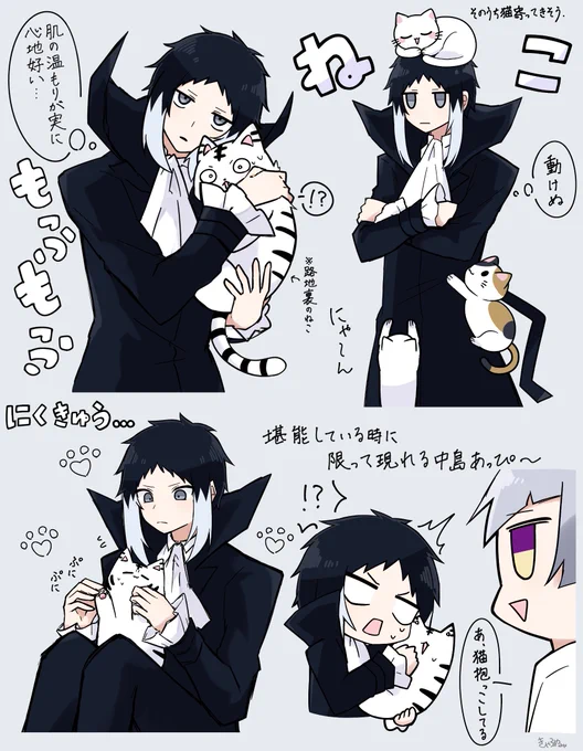 ねこちゃんと芥つめつめ🐱
※わん!参考 #BSD 