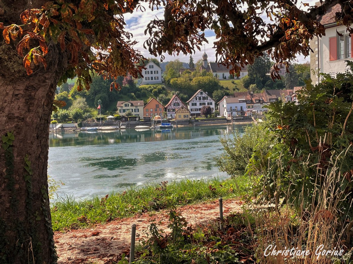 schreibtatze's tweet photo. Ich bin eine Anhängerin des #Altweibersommers in #SteinamRhein.💋
Man trifft mich jedoch selten bei der #Altweiberfastnacht. Habe auch noch nie einem Mann den #Schlips abgeschnitten.😉 https://t.co/nGmZaPUa29