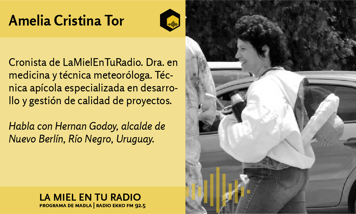LaMielEnTuRadio's tweet photo. En la #CrónicaTrotamundos, la Dra. #AmeliaCristinaTor conversa con #HernanGodoy, alcalde de Nuevo Berlín, Río Negro, Uruguay.
Diferido
https://t.co/9sGeWqzArf
https://t.co/O5gqjvpECX
@REDLACaf @INTAInforma @EspacioApicola https://t.co/L9MvrI6JfN