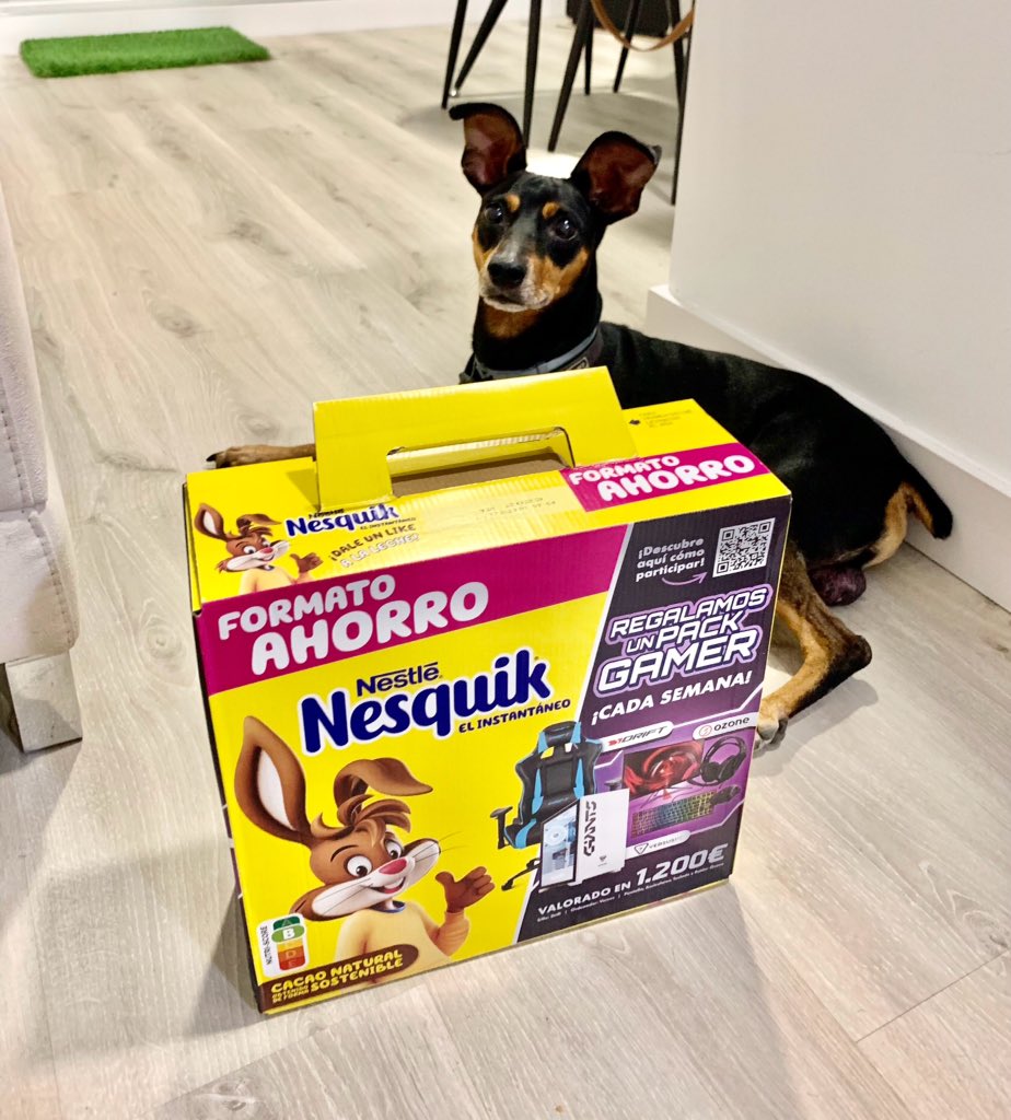 paulaperez32's tweet photo. @NesquikGaming Porque en mi casa hasta el perro es fiel a Nesquik #PackgamerNesquik @nesquikgaming https://t.co/oF9SzTfHYD