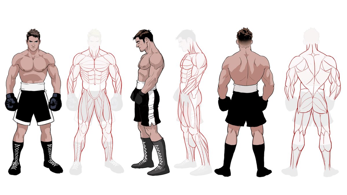 hassbroart's tweet photo. Anatomy for stylized character. https://t.co/gGVuPmFhyn
