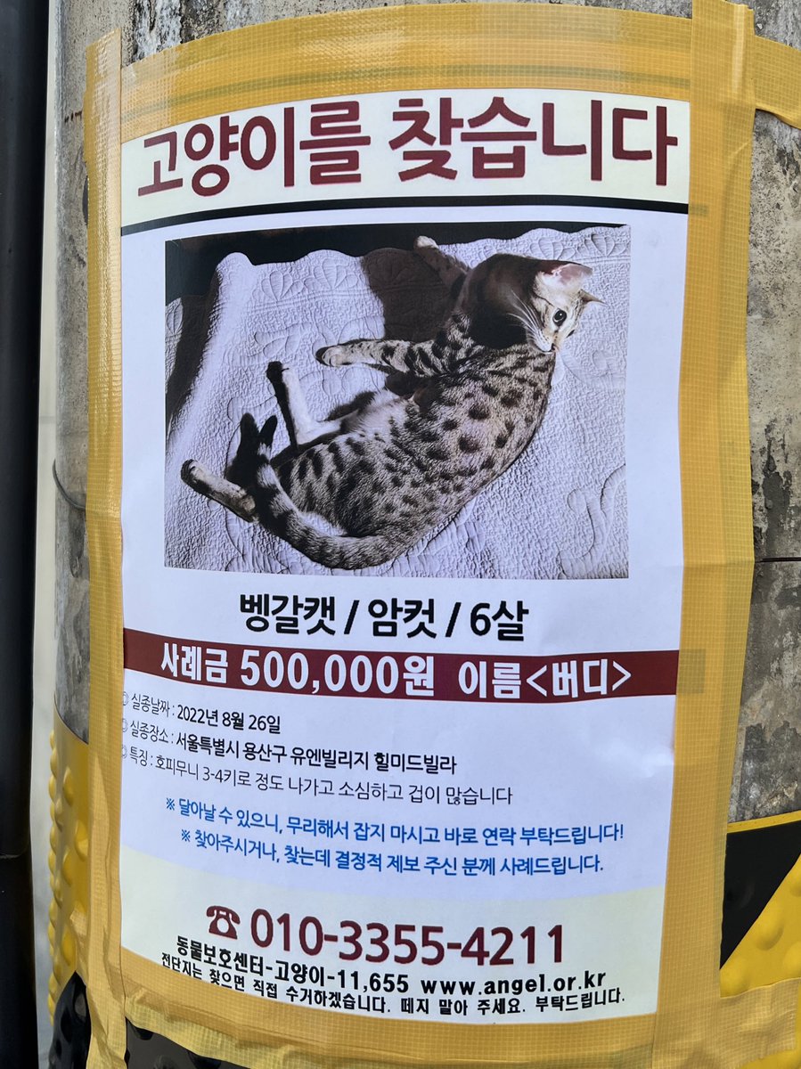 하루, 이틀, 사흘, 나흘, 그리고 닷새 tweet media