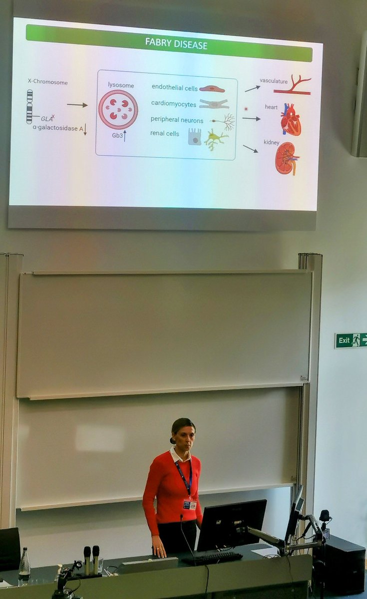 Time to close this morning's excellent session, with a talk on disease modeling.

Let's listen to Silvija Tokic telling us all about her novel cell model for Fabry disease: primary endothelial colony forming cells 🧫🔍