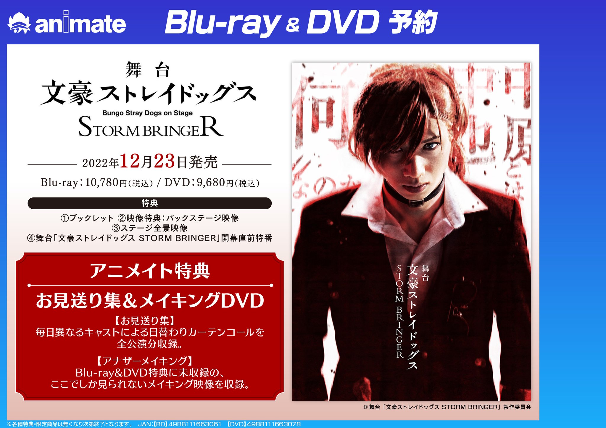 舞台「文豪ストレイドッグス STORM BRINGER」【DVD】：映画