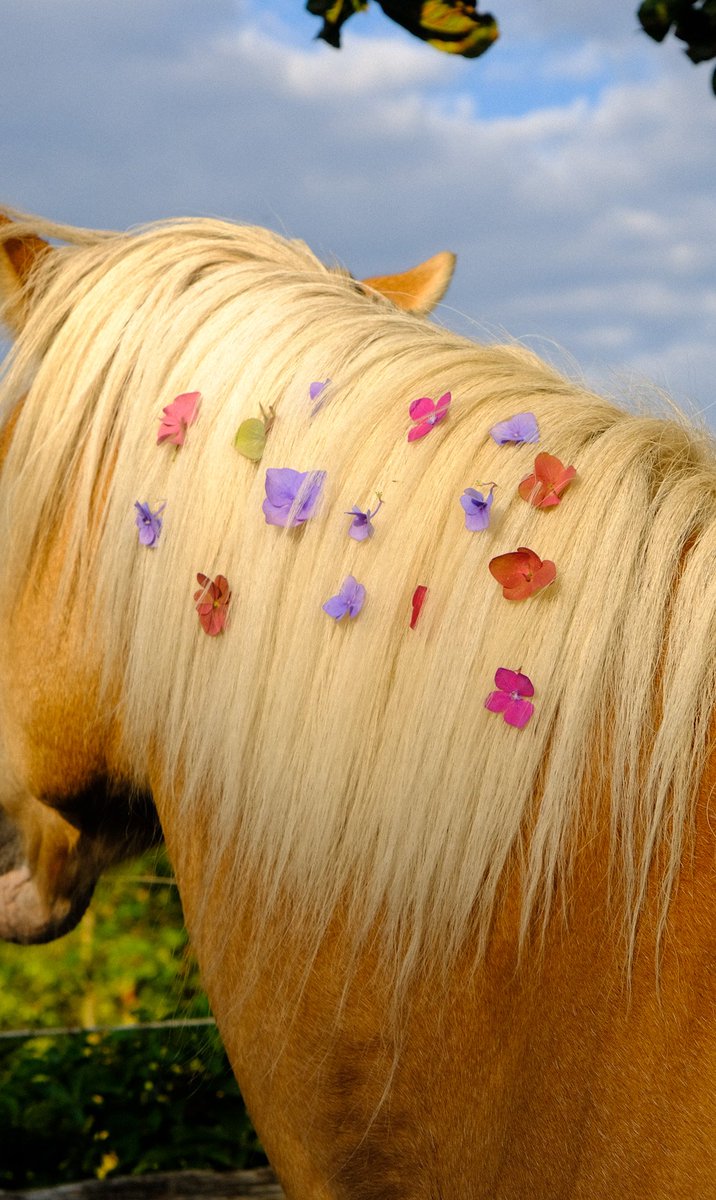 End of summer celebration.