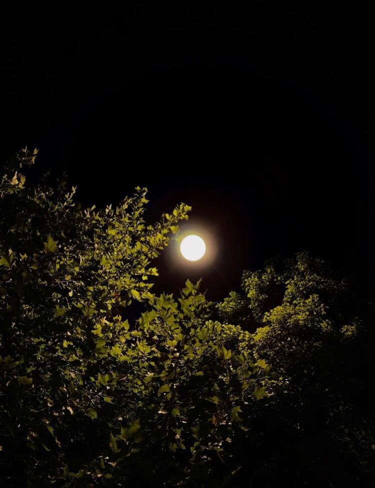 Fdjdjj12's tweet photo. The full moon, the round family, and the round wallet. Heart smooth, love smooth, work smooth https://t.co/raoaYNIgvB