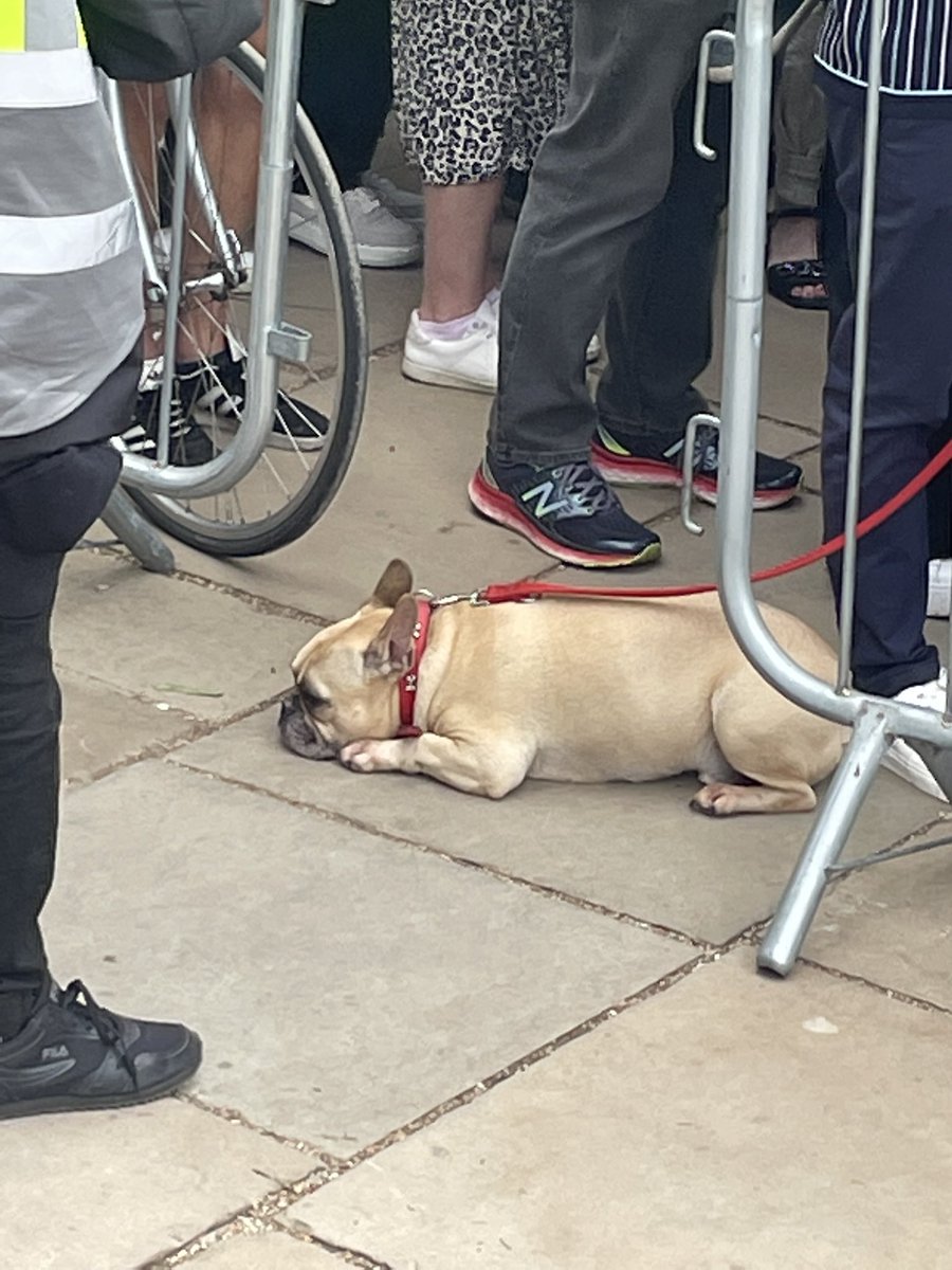 Brett_McLeod's tweet image. Big crowd waiting for Charles to return to Buckingham Palace. 
Not everyone’s enjoying it though. 
#Toomanypeople
#bitruff