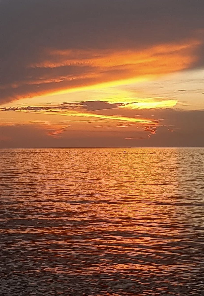 6 prova #Trofeo #Trieste 2022 . #3000inpista ! Siamo quasi alla fine 😎 Grazie a tutti