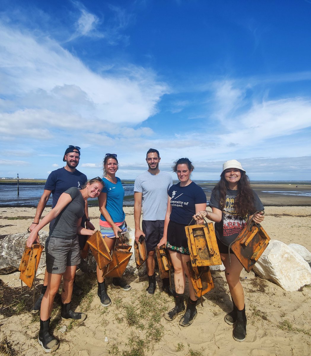 KRehlmeyer's tweet photo. Visiting our French seagrass friends at Parque Naturelle Bassin d'Arcachon, checking out #noltii meadows. 🌊🌱🇫🇷 https://t.co/Q9hE4KbHC4