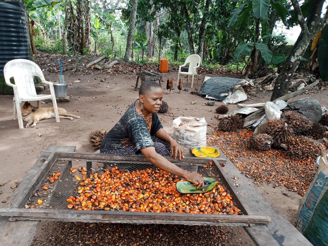 campusfotofest's tweet photo. The victorious creatives are:

1st Prize goes to: An African woman happily engaged in her palm oil processing 01 by Iwuala Lucy, Wikimedia Commons, CC-BY-SA 4.0 https://t.co/C7lraLKZ9C