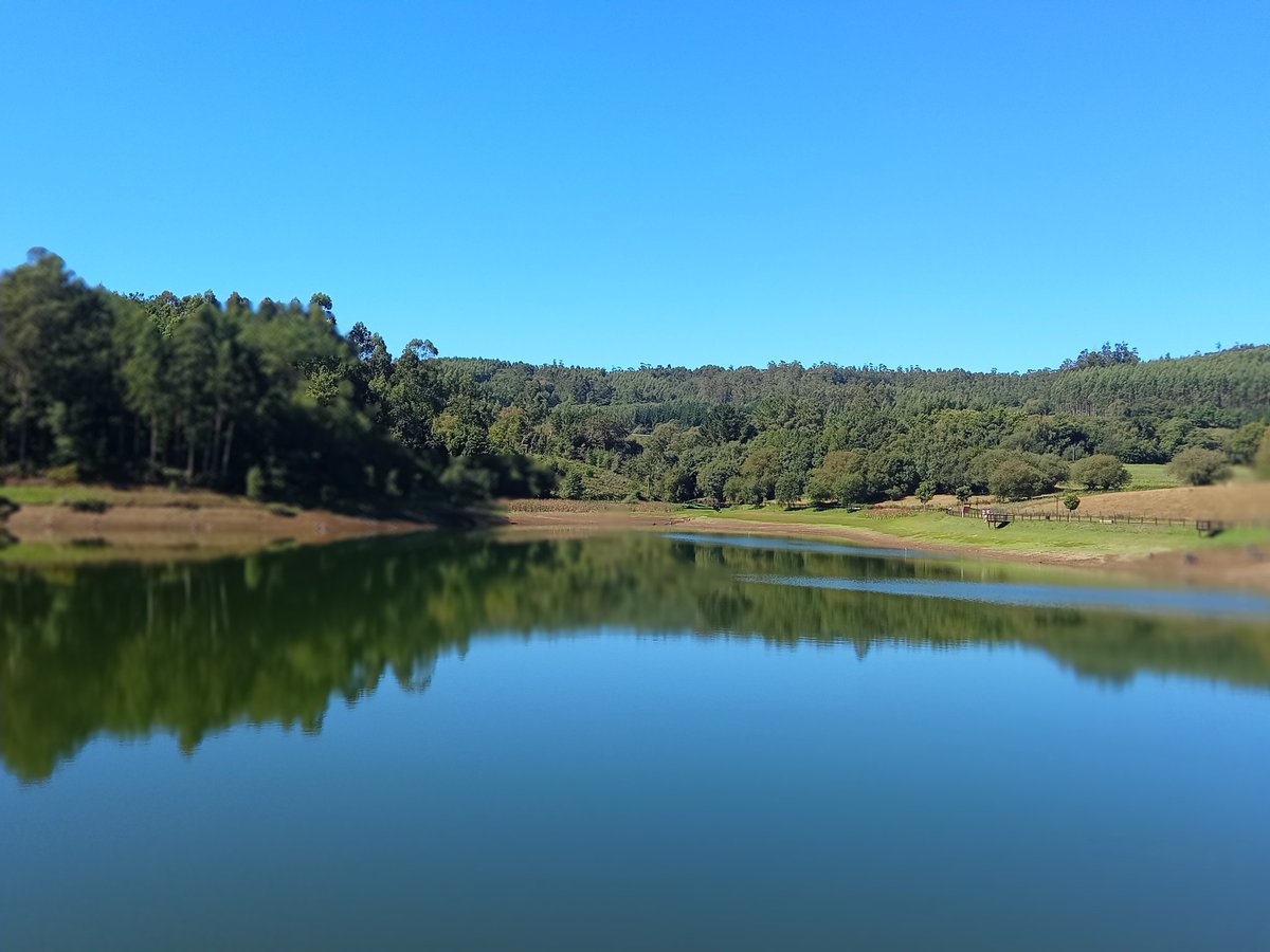 Carlos35418969's tweet photo. Buenas tardes desde el Encoro de Beche en el Concello de Abegondo 
Con cielos despejados,mucho calor y 27 grados de temperatura
@CeosGalegos @OTempoTVG @MeteoGalicia #Abegondo #encoro #Beche #encorobeche  #galicia #camiñoingles https://t.co/I9eyYbpjat