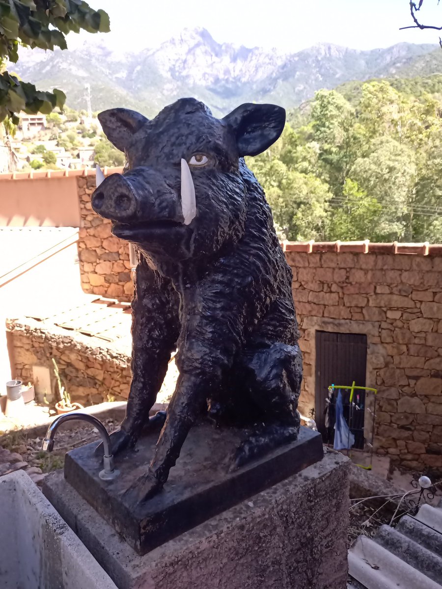 Eric Sutre tweet media