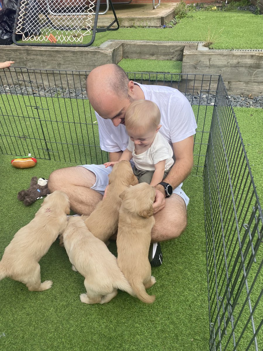 Best way to spend a Saturday