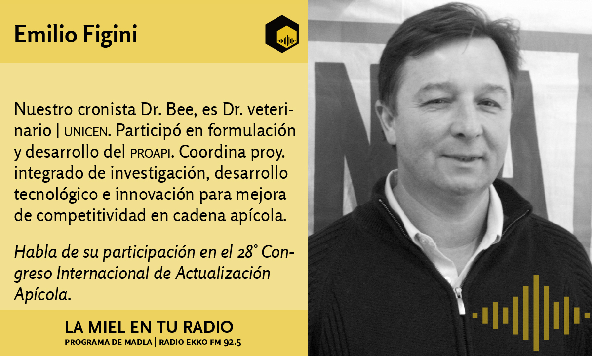 LaMielEnTuRadio's tweet photo. El cronista #DrBee #EmilioFigini nos habla del 28˚ Congreso Internacional de Actualización Apícola en México.
Diferido
https://t.co/9sGeWqzArf
https://t.co/O5gqjvpECX
@REDLACaf @INTAInforma @EspacioApicola https://t.co/QSmhk7rHJL