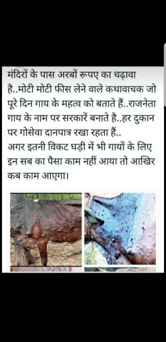 गौसेवा करने वाले,गौमाता कहने वाले कहा चले गये
दिखावा तो बहुत कर लिया अब गौ सेवा कर लो
दूध,दही,मक्खन,पनीर जिन्हे अच्छा लगता है,बिना चाय कॉफी के जिनकी नींद नही खुलती वो कहा हैं।गौमाता की सेवा करने का प्रण लेने वाले साधूसन्त कहा हैं जब जरुरत है तो कहा जाकर छुप गये हो
कुछ तो शर्म करो