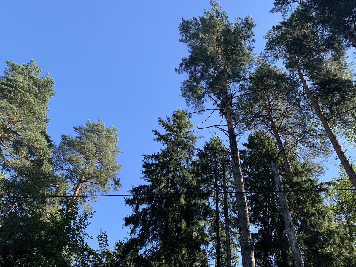 Продолжаем искать…
У каждого должен быть шанс быть найденным

#Немов 
lizaalert.org/forum/viewtopi…