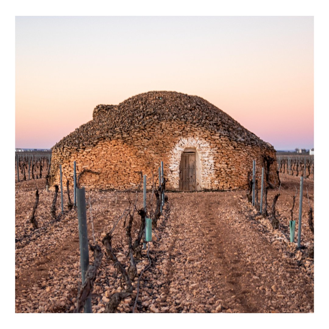 VisitaTomelloso's tweet photo. 🛖 𝗟𝗼𝘀 𝗕𝗼𝗺𝗯𝗼𝘀 𝗱𝗲 𝗧𝗼𝗺𝗲𝗹𝗹𝗼𝘀𝗼 🛖

👉🏼Son arquitecturas rústicas de carácter agrícola que servían como vivienda y refugio durante las jornadas en el campo.

🪨Los bombos se empezaron a construir a partir de la segunda mitad del s. XIX. https://t.co/d1OsTVUT2H