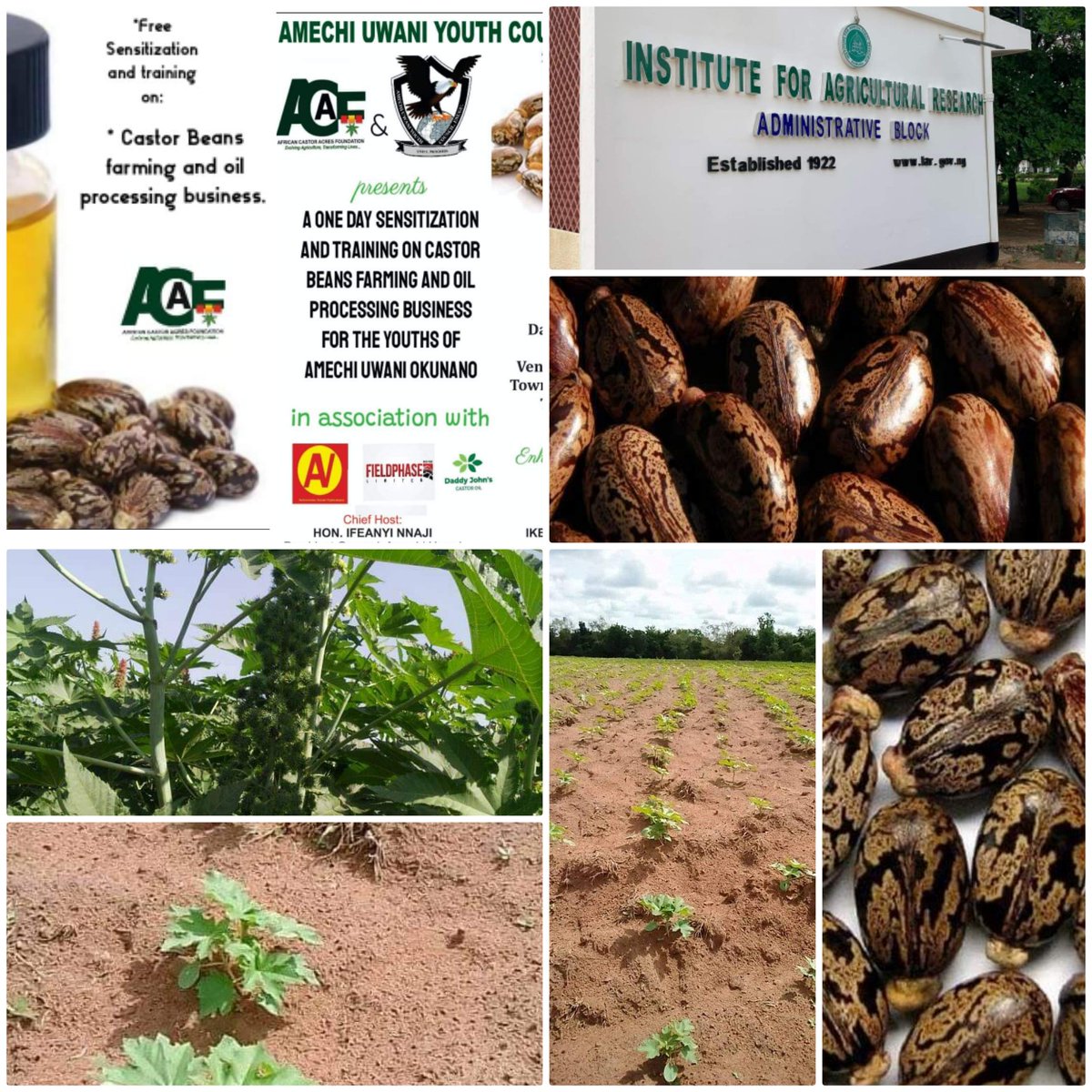 Training_ACAF's tweet photo. A collage of our activities and associates in Nigeria. https://t.co/OHJj4kfZXM