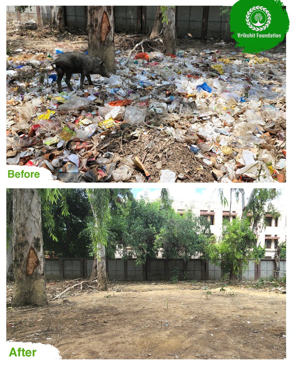 vrikshit's tweet photo. Poor pig won't be able to recognize the site when it comes back, but we have no regrets 😌.

#YouthVsGarbage #YouthAction https://t.co/LJEO4W3Y8M