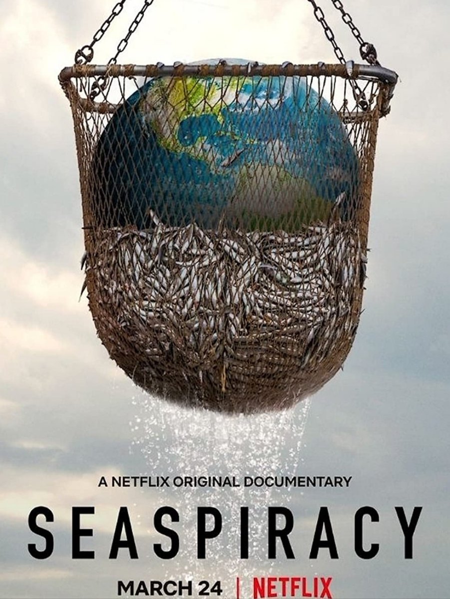 10 Netflix Documentaries That Will Change Your Life + Mindset 

1. Seaspiracy