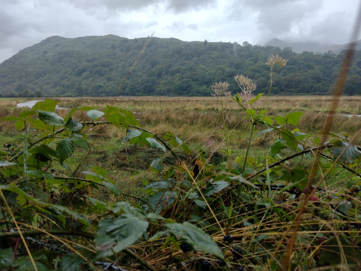 RWG were walking last week in the Patterdale Valley. I took these photos of #GoldrillBeckRestoration @NT_TheNorth