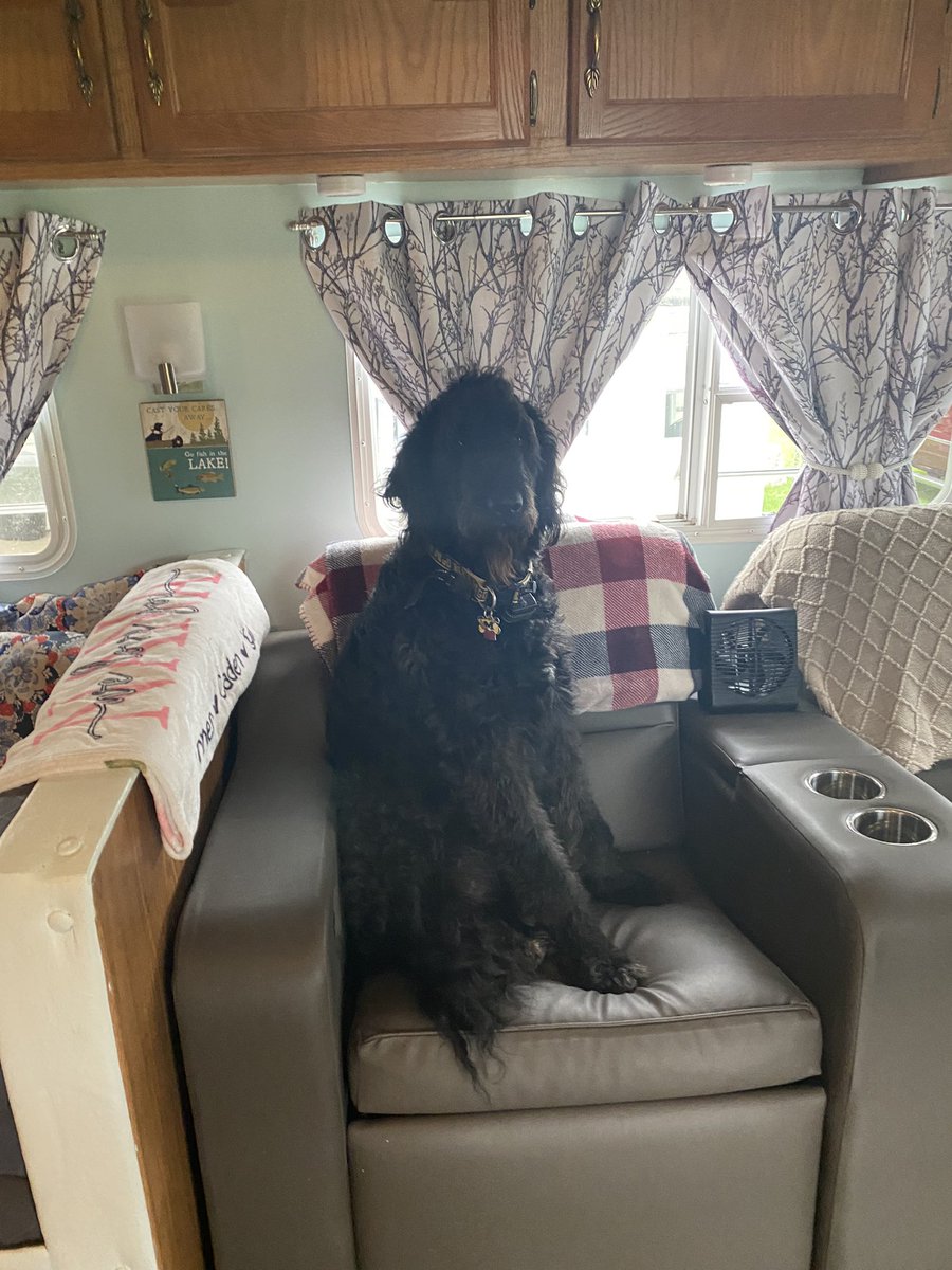 nanamary68's tweet photo. I guess both recliners are for you #ziggyboy #dogsoftwitter #DogsAreFamily #DogsOnTwitter #girlsbestfriend #bestie #love https://t.co/q6yxcunYPI