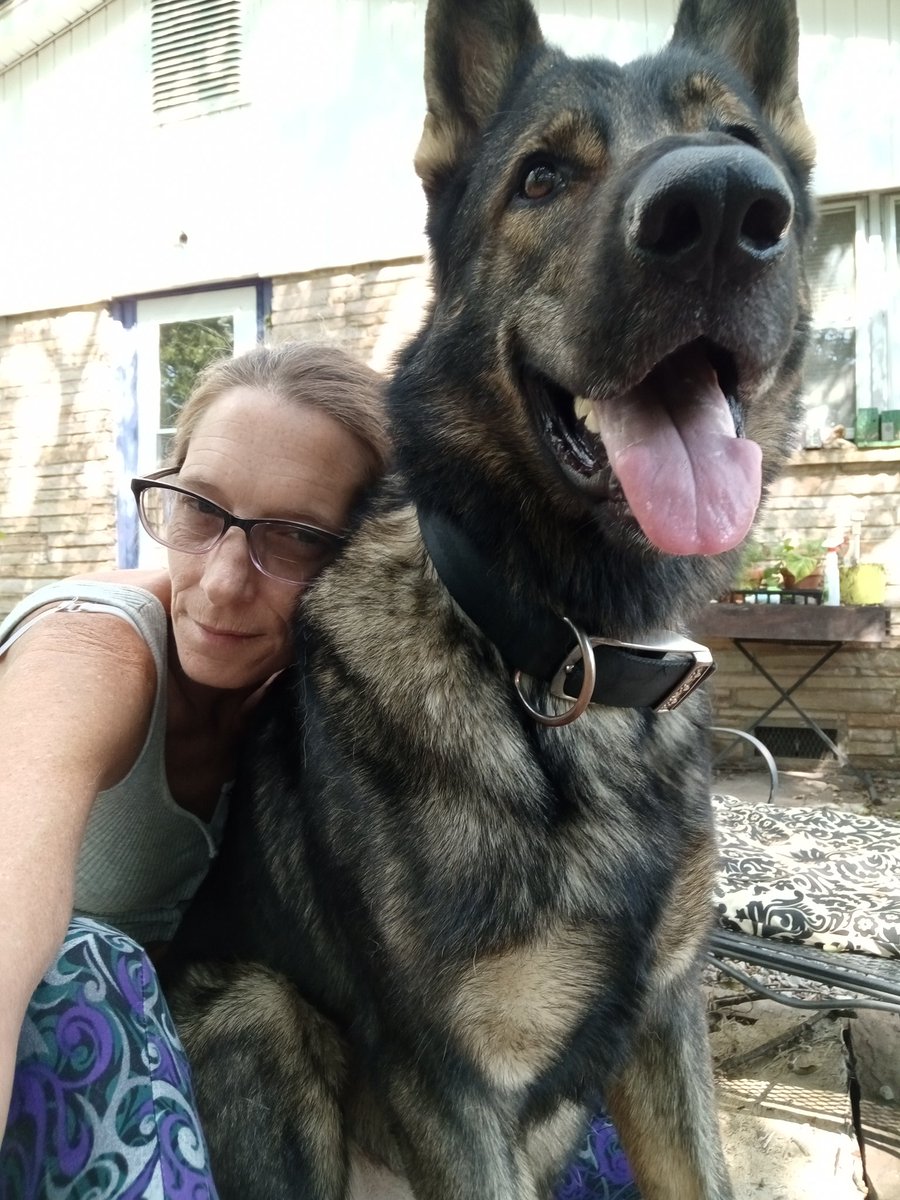 naturellyzemom's tweet photo. Pup appreciation post! Have you hugged your best friend today?
#gsdlover #gsdoftwitter #hugapup https://t.co/0IVRGfGaMN