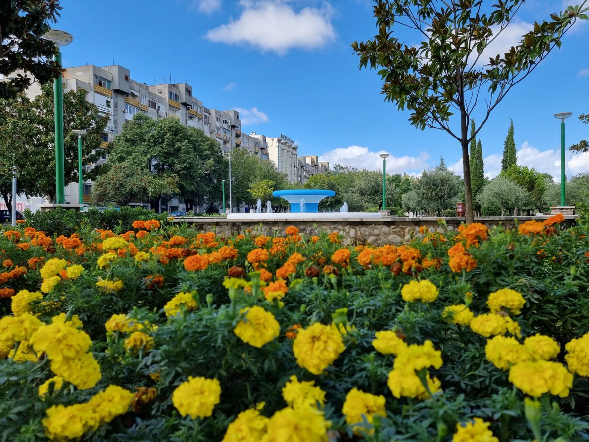 Ivan Vukovic tweet media