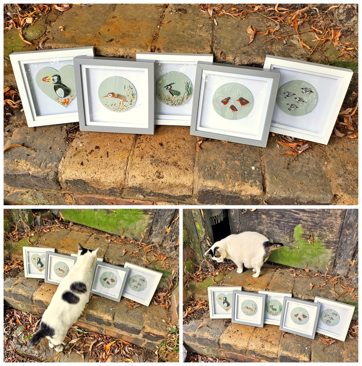 We have recently added this collection of framed hand-painted sea glass pictures from Sarah Cain of <a href="/BeadStormJewell/">Beadstorm Jewellery</a> to the gallery, Bounty wanted to make sure everything was in place for the photo shoot.
#shopsmall #shoplocal <a href="/OldDairyFarmNN7/">Old Dairy Farm NN7</a> #hayrack20