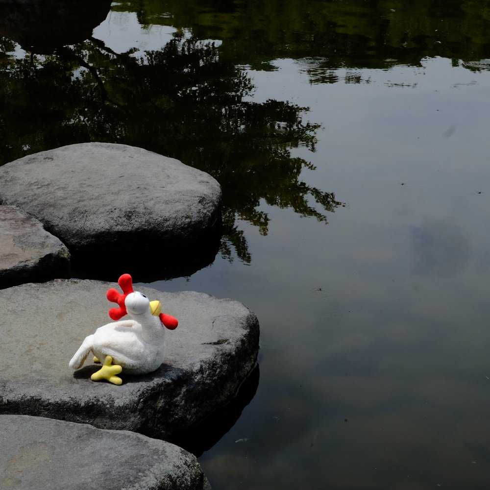 hayday's tweet photo. Chilling next to the pond on this happy Saturday! What do you think the chicken's having on his mind? Is there a secret project or something!?🤔 #HayDay https://t.co/mNtCXIXr1T