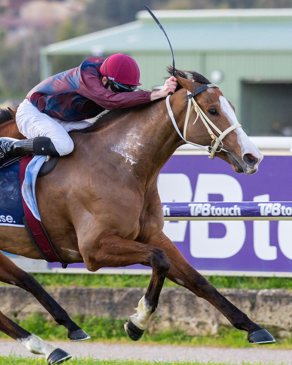 Bunbury Turf Club tweet media