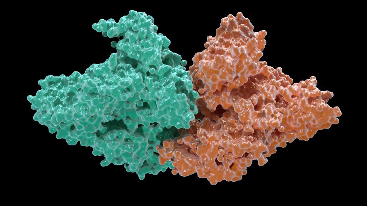 TuChFi22's tweet photo. つるっとした質感もよいかも。メタセコ4パストレ。
#Metasequoia #3DCG #科学イラスト #Science_illustration #Bovine_Serum_Albumin #BSA #Protein_Data_Bank #PDB https://t.co/dbHoieYoYs