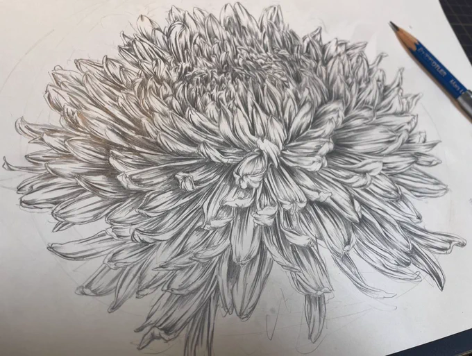 ラフ→下絵→切り終わり→背景描き途中 