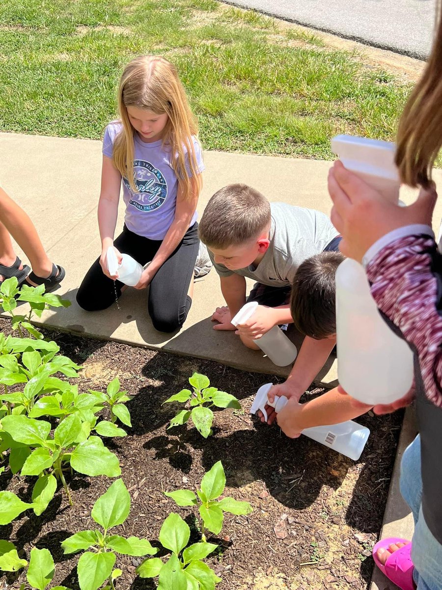 Red Cross Elementary tweet media