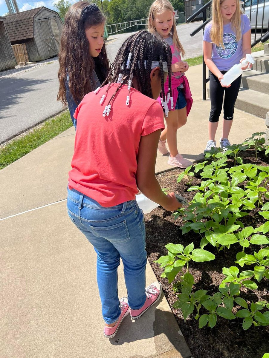 Red Cross Elementary tweet media