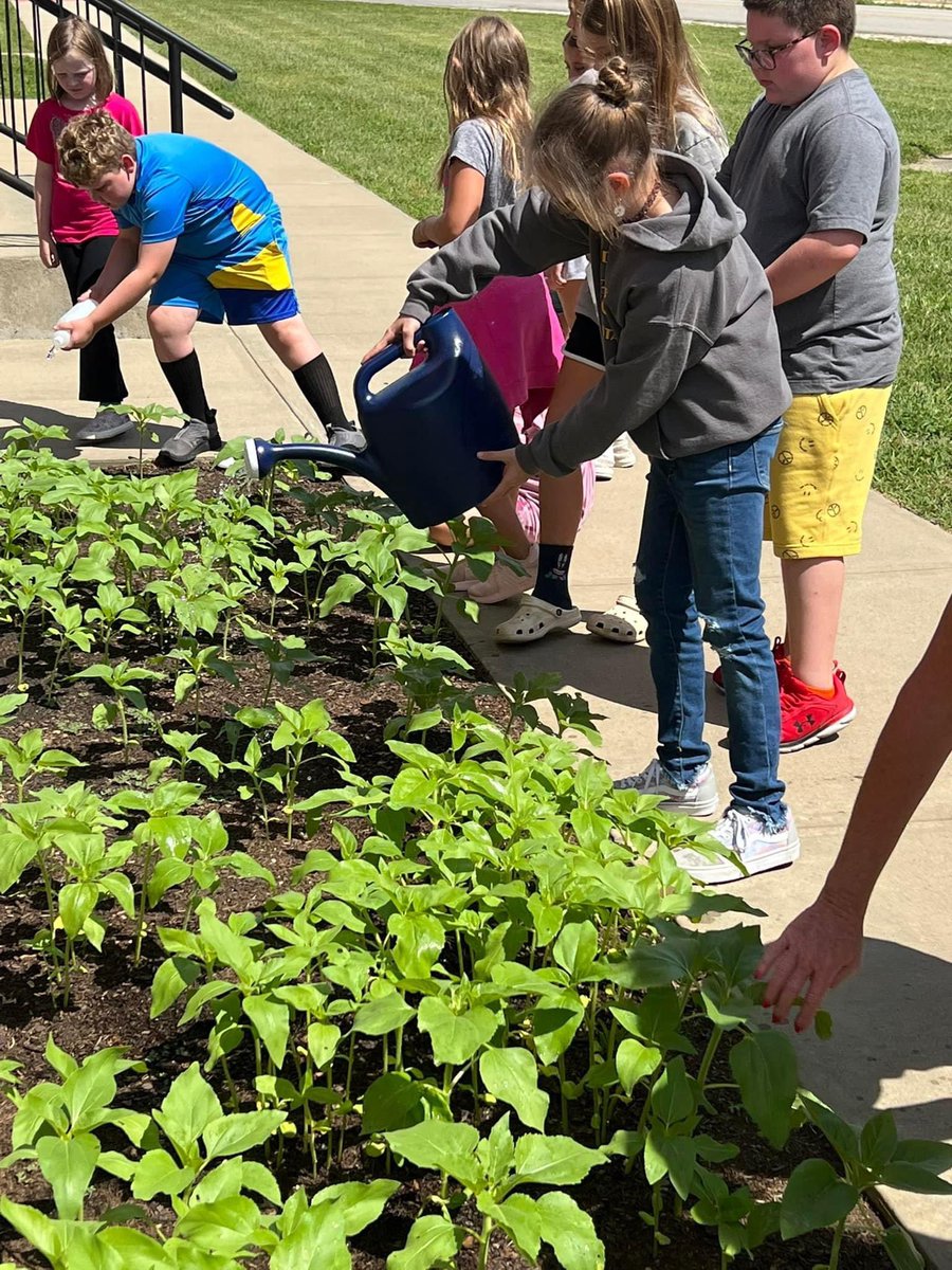 Third Grade students are gaining real life experiences by growing sunflowers. We can’t wait to see them bloom! A special thanks goes to Mrs. McFarland for the time she invested in this project for the students. #InstructionIsKeyAtRCE
#RCEshines
#WeAreBC  
#BeComingLifeReady