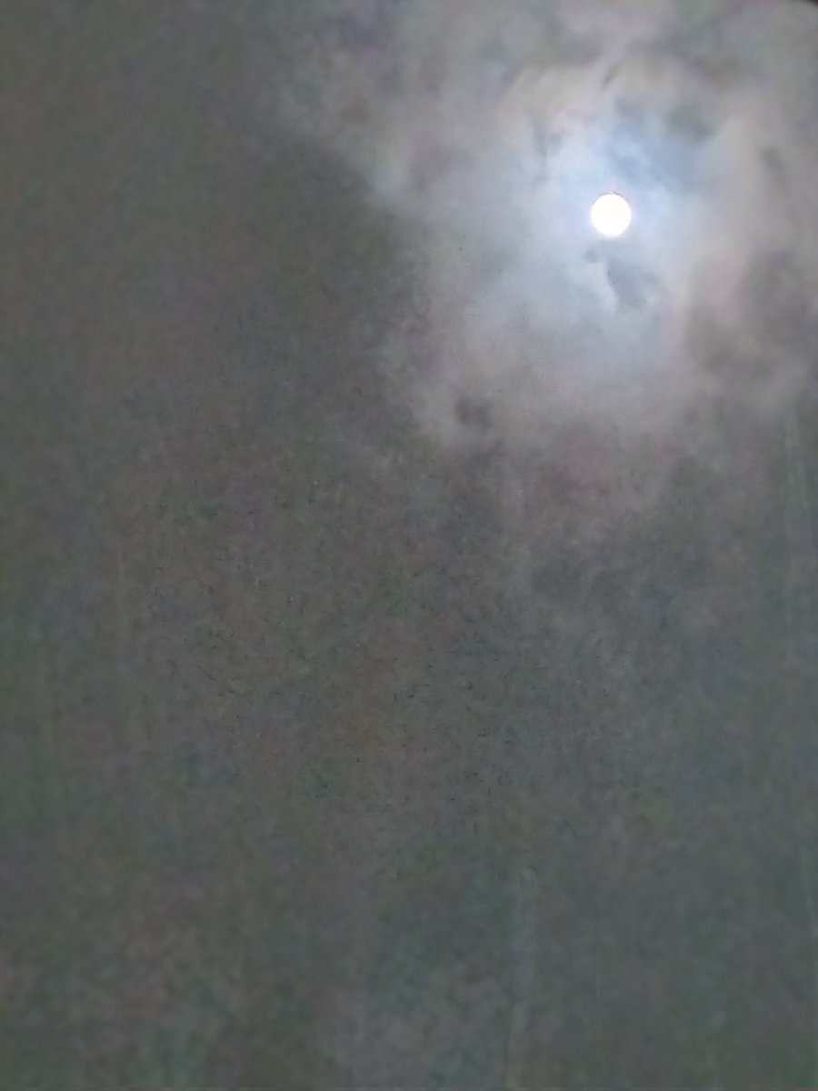 kwx_aw's tweet photo. #十五夜
お月様🌝
綺麗に撮れるカメラが欲しくなる🤧 https://t.co/LlYOuZIrN1